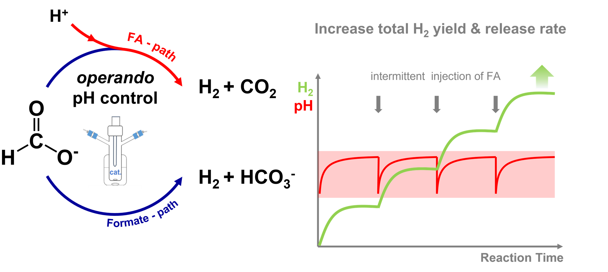 Operando pH formic acid dehydrogenation schematic